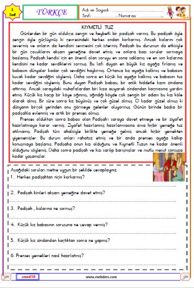 3. Sınıf Türkçe Okuma ve Anlama Metni Etkinliği (Kıymetli Tuz)